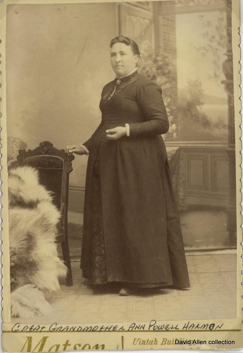 Ann Powell (1840 - 1908) Profile
